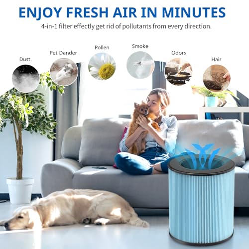 LINNIW 2 Pack MK03 Air Filter Replacement Compatible with MK03 Air Purifier, 4-in-1 MK03 MJ003H HEPA Filter for POMORON MJ003H Air Cleaner, Compare Part MG03JHLX/DH-JH03/MJ003H-RF by LINNIW - Image 6