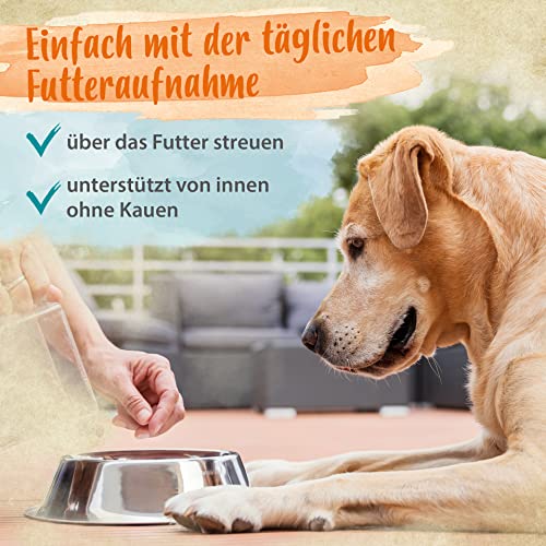 Ida Plus Denta Dog - kinderleichte Hunde Zahnpflege ohne Zähne bürsten - Hunde-Dental-Pflege stoppt Hunde Mundgeruch & sorgt für frischem Hunde-Atem - verhindert Hunde Zahnstein & Plaque - 150g
