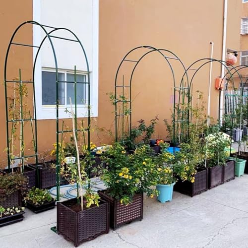 Support de base pour plantes grimpantes et décorations de fête - 3