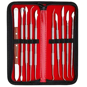 Dental Wax Carvers with Case, Stainless Steel Carving Instruments, Sculpture Tools 10pcs