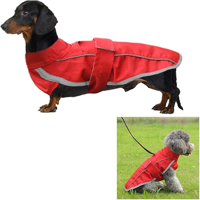Dachshund Raincoat, Adjustable Dog Raincoats Waterproof Dachshunds, Rain/Water Resistant Miniature Dachshund Raincoat For Small Dog, Dachshund and Similar Breeds (Red, XL)