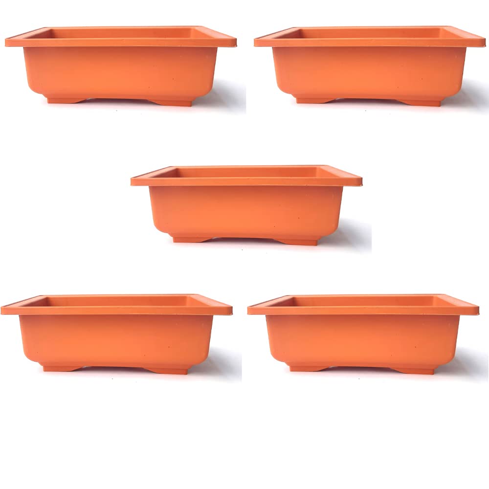 See full amazon price history chart for Green Paradise® Bonsai Pots rectangle 22.90 cm (L) x 16.50cm (W) x 8.30 cm(H) (Terracotta color) (Pack of 5) Training bonsai trees succulent cactus mini gardens and adeniums (Pack of 5) Green Paradise® Bonsai Pots rectangle 22.90 cm (L) x 16.50cm (W) x 8.30 cm(H) (Terracotta color) (Pack of 5) Training bonsai trees succulent cactus mini gardens and adeniums (Pack of 5) (B09HQJKGX2) Amazon Price History, Amazon Price Tracker