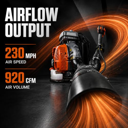 Schröder Backpack Leaf Blower - Backpack Blower - Gas Leaf Blower - SR-6400L - 3.7 HP Engine