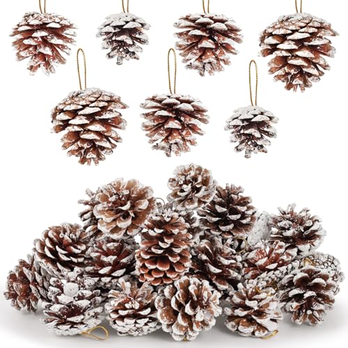 JOHOUSE 24PCS Snow-Dusted Natural Pine Cones with...