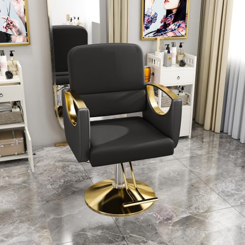 Salon Chair for Hair Stylist Hydraulic, Non-Tilting Backrest 3