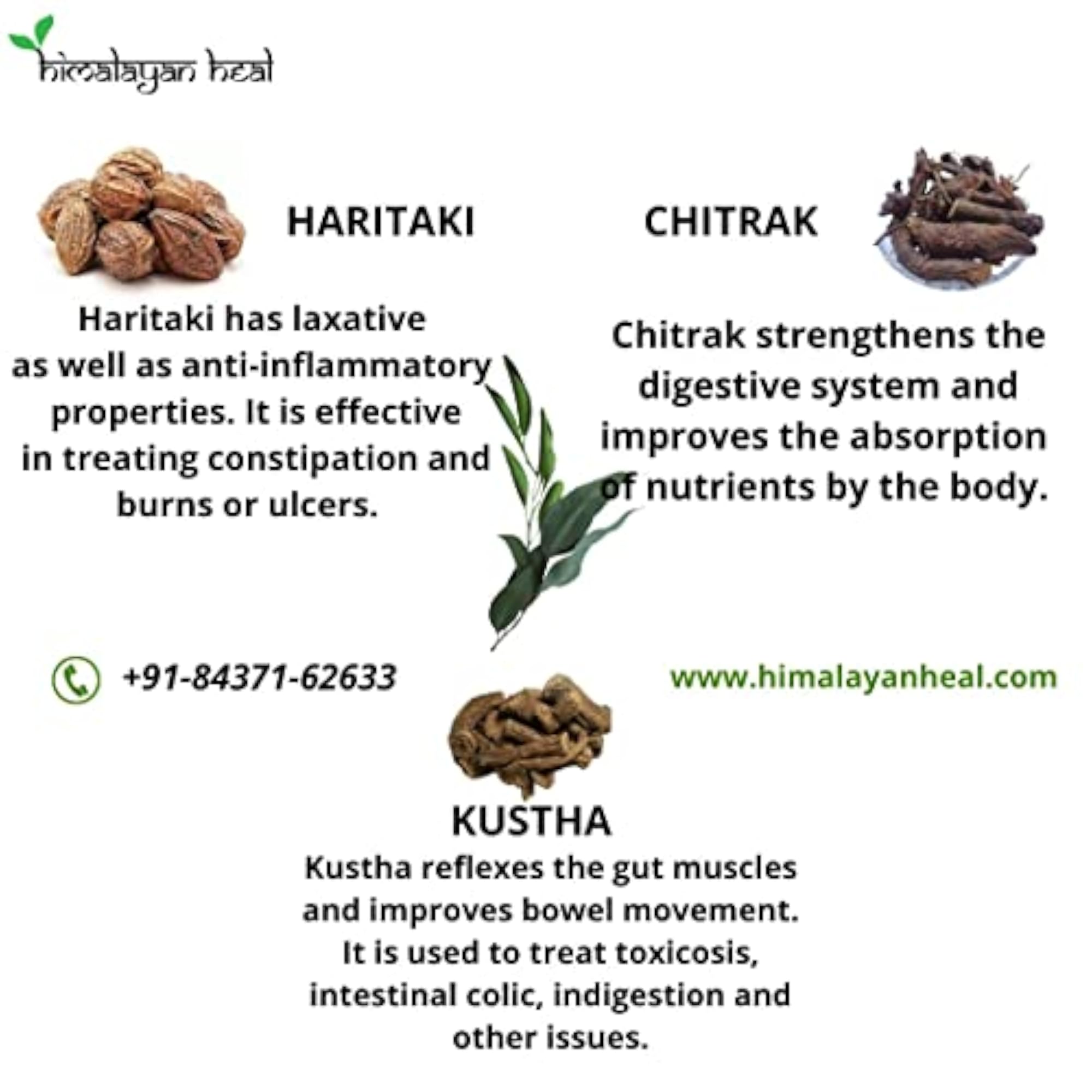 Agnimukha Churna, 75 gm