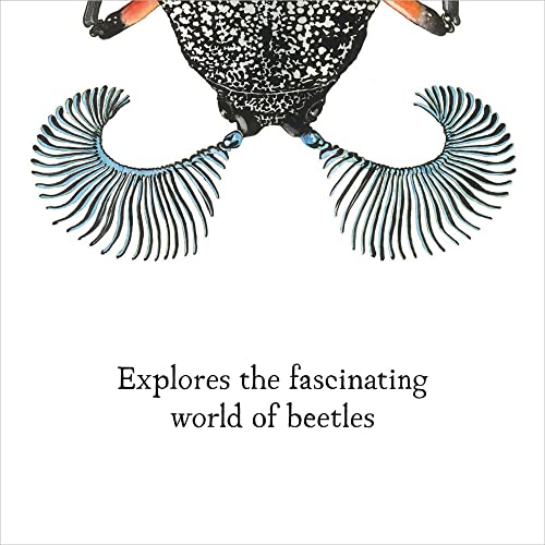 A Beetle Is Shy (Sylvia Long) - Image 2