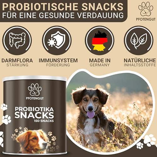 PFOTENGUT® Verdauungssnacks für Hunde [Made IN Germany] - 150 Snacks zur Förderung der Darmflora & Verdauung - Leckerlis zur Stärkung des Immunsystems - Probiotika Hund - Darmflora Aufbau Hund