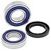 All Balls Racing 25-1719 Wheel Bearing Kit