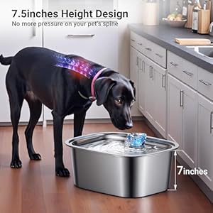 Dog-Water-Fountain-Stainless-Steel-Dog-Water-Fountain-for-Large-Dogs-Pet-Water-Fountain-PETDOTT-Dog-Water-Bowl-Dispenser-Water-Fountain-for-Dogs-Inside-with-Filter-Bowl-for-Large-Breed-Quiet-Pump - Cucciolini Doodles   Dog-Water-Fountain-Stainless-Steel-Dog-Water-Fountain-for-Large-Dogs-Pet-Water-Fountain-PETDOTT-Dog-Water-Bowl-Dispenser-Water-Fountain-for-Dogs-Inside-with-Filter-Bowl-for-Large-Breed-Quiet-Pump