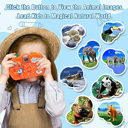 18Pcs Kids Toy Camera Set, 3 Color 6 Animal Patterns Viewfinder Camera Bulk For Goodie Bags Fillers Stuffers Return Gifts For Kids Toddlers Birthday Party Favors Age 1-3 3-5 Years Pretend Play Props #TOP2