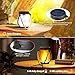 Bloepum 4X Solar Lanterns Lights Flickering Flame Garden Lights with Dual Charging USB & Solar Waterproof Hanging Lantern