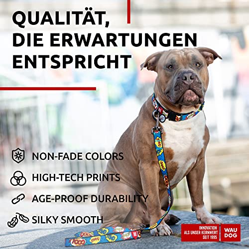WAUDOG Nylon Leine Hund Große Hunde, Hundeleine Mittelgroße Hunde Leine für Kleinere Hunde, Hundeleine für Welpen, Hundeleine Nylon, Leinen für Hunde Schleppleine Hund