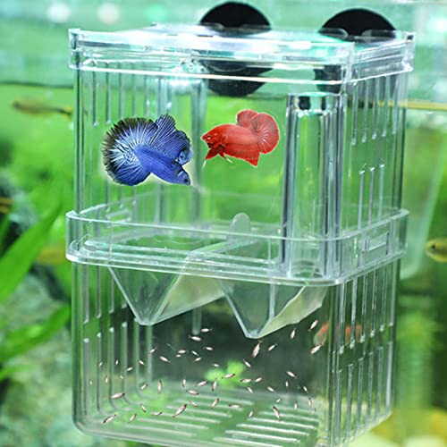 Boîtes d'écloserie pour poissons et ponte double pour bac transparent - 6
