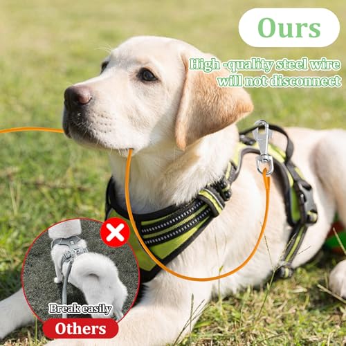 2 Stück Hausleine für Hunde Hundeleine 2 ft Hausleine Hundeleine Leinen für Hunde Kausichere Hundeleinen für mittelgroße und kleine zum Joggen und Spazierengehen(Silber & Schwarz)