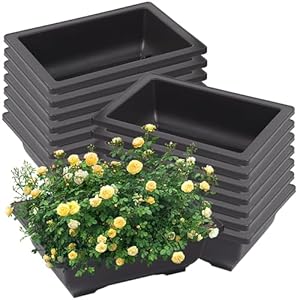 ZOENHOU 15 stuks Plastic Bonsai Trainingspunten Bonsai Training Pot Training Potten Vierkante Bonsai Pot Planten Pot Bonsai voor Tuin Binnenplaats Woonkamer, 22,5 x 16,5 x 7,5 cm