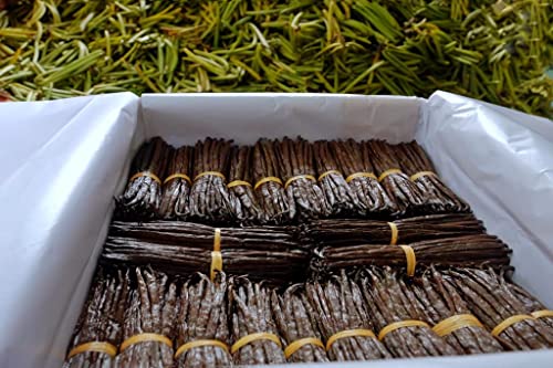 Foto von Bourbon Vanilleschoten (15 Stk. - 10-11cm) Top Gourmet Qualität - Grade A 100% natural aus Madagaskar