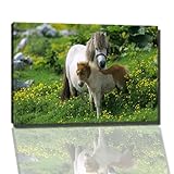 ölbild pferd Wir liefern schnell und sicher mit DPD und UPS