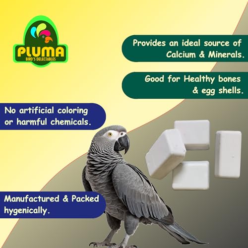 Image of Pluma Bird Food | Natural Calcium Mineral Block for Birds - 4 Pieces (250 g) | Calcium for Budgies, Parakeets, Conures, Macaws, African Grey, Cockatiels, Parrots| for Adult & Self Feeding Birds.