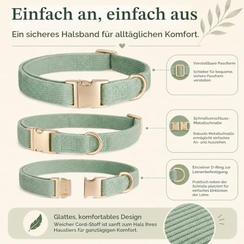 YUDOTE Hundehalsband und Leine Set Klein, Weiche Reizfreie Cord-Halsband-Leine Passende Combo für Den Täglichen Spaziergang, Salbeigrün