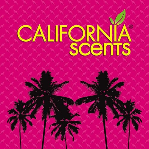 California Car Scents Lufterfrischer - Ice - Dose 42gr schwarz 1 EINHEIT