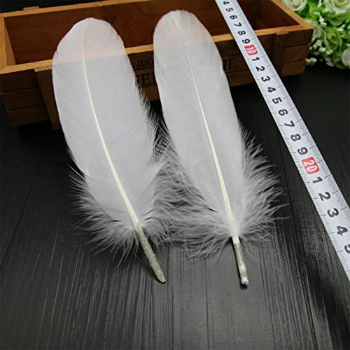 Haimay 200 Pieces White Feathers For Craft Wedding Home Party Decorations, 6-8 Inches Goose Feathers White Craft Feathers #TOP2
