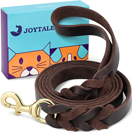 Joytale Laisse en Cuir pour Chien, Tricotage à La Main Laisse Chien Cuir, Cuir Véritable Durabilité Laisse en Cuir pour Grands Moyens Petits Chiens, Fermoir en Laiton, Marron, 1,8m*1,2cm