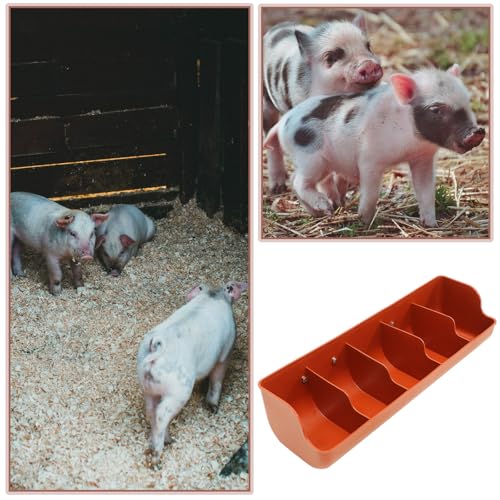 Comedero para cerdos de plástico resistente con 5 compartimentos naranja 7