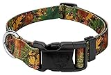 Country Brook Design- Deluxe Southern Forest Camo Dog Collar - Military and Camo Collection with 15 Rugged Designs (5/8 Inch, Small)
