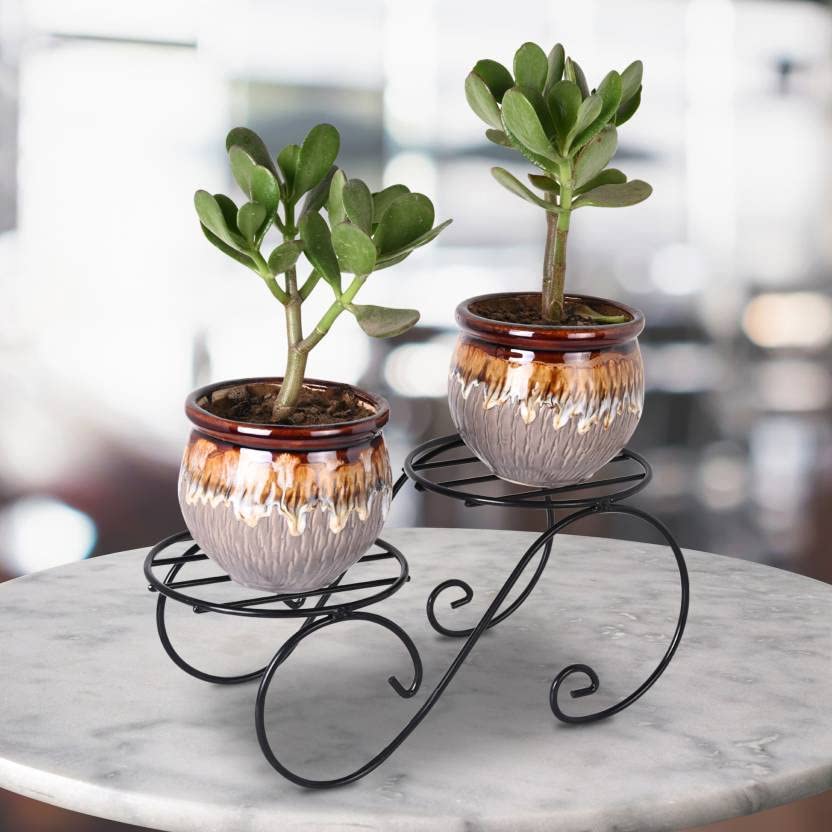 See full amazon price history chart for Appeasy Black Metal Table Plant Stand For Living Room Balcony, Home Decor, Indoor and Outdoor Use Gamla Stand Set Of 1pc. Appeasy Black Metal Table Plant Stand For Living Room Balcony, Home Decor, Indoor and Outdoor Use Gamla Stand Set Of 1pc. (B09SB7YVQK) Amazon Price History, Amazon Price Tracker