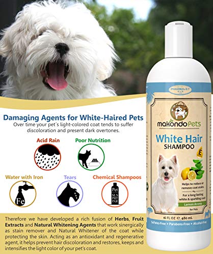 Dog Whitening Shampoo– For Dogs With White Light Colored Hair Coat Fur–White Haired Pets Shampoo For Itching Dry Sensitive Skin. Non Toxic Formula #TOP3