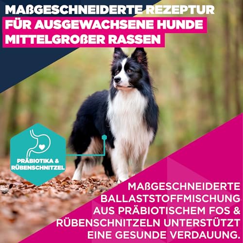 Eukanuba Hundefutter Trocken mit frischem Huhn für mittelgroße Rassen, Premium Trockenfutter für ausgewachsene Hunde, 3 kg