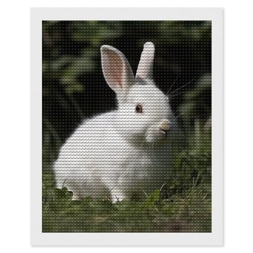 Peinture diamant 5D adulte débutant motif lapin sur l'herbe, broderie déco murale 40x50cm