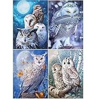 Square Diamond Painting Hibou 40X50 Cm Diamant Peinture Carré