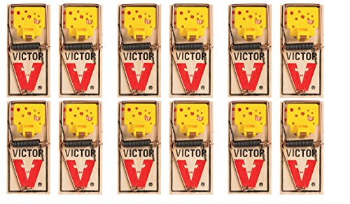 Victor EZ set mouse trap (Pack of 12)