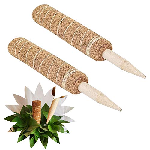 Tótem de Coco El Tótem de Fibra de Coco Palo Trepador de...