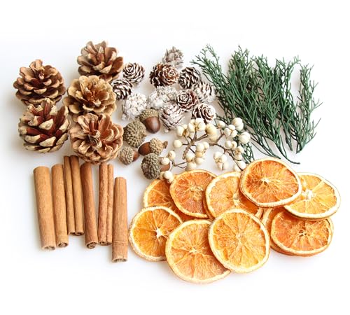 DIY Natural Dried Flower Kit - Bulk Dried Plants, Pine Cones, Scented Lemon Slices, Cinnamon Sticks Wood Roses & Mini Pinecones for Home DΓ©cor, Christmas Decoration (Orange - B)