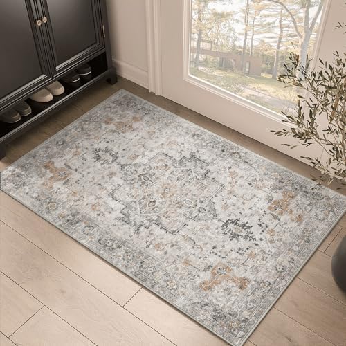 GENIMO Area Rug 2x3 Doormat, Machine Washable Low Pile Rugs