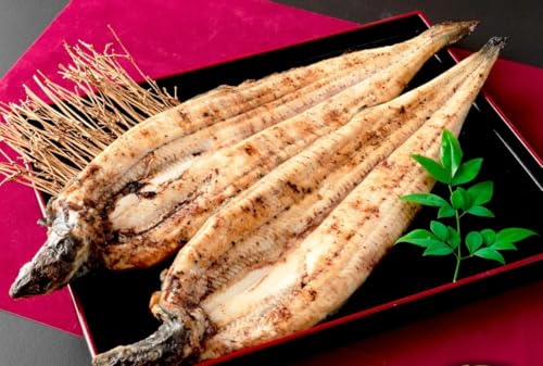 [選べる配送月]うなぎ白焼き 800g (200g×4尾) (2026年2月配送)