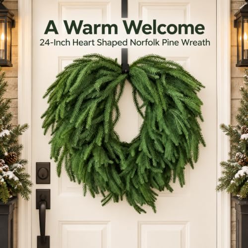24 Inch Heart Shaped Norfolk Pine Wreath with 15 Inch Black Hanger - image 5