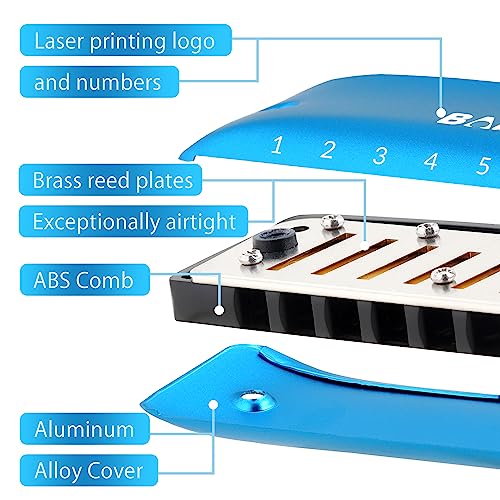 Babyfat 7 Hole Blues Mini Harmonica Set,Diatonic Harmonica With Free Lanyards,Gifts For Kids And Beginners,Easy-Playing Musical Instrument(A Key） #TOP1