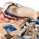 VIVID LIFE 牡蠣 生食用 3kg 18〜36個 冷凍 殻付き 生牡蠣 冷凍かき 牡蠣小屋の牡蠣 かき 牡蛎 カキ 宮城県 三陸 海鮮 刺身 産地直送