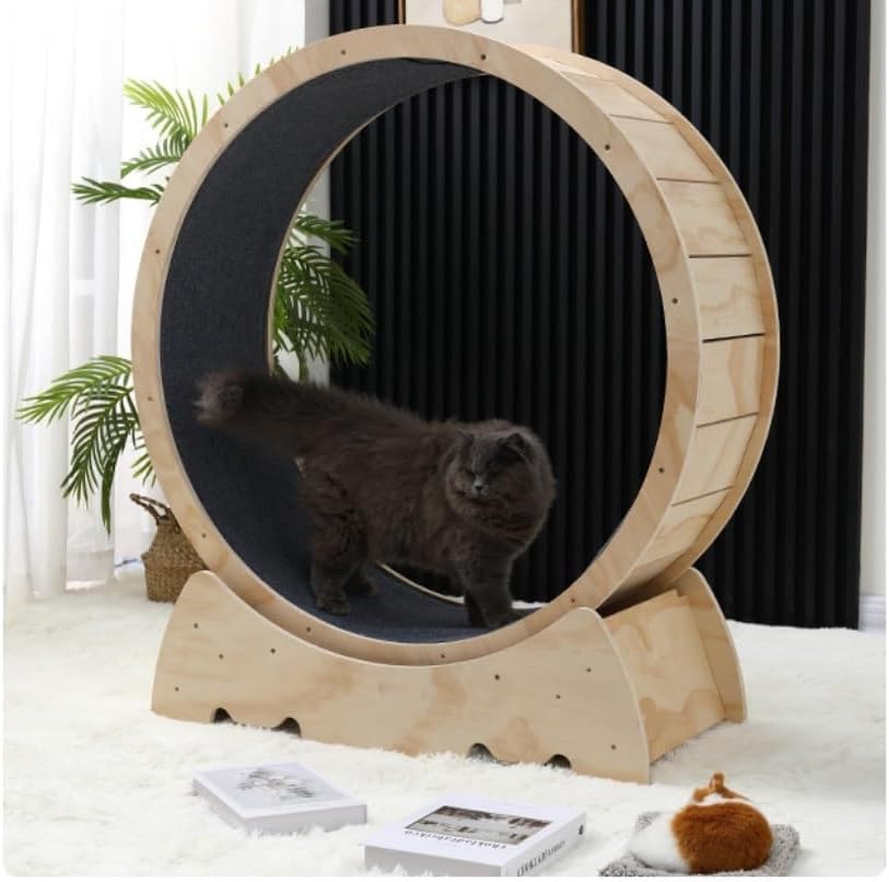 ヤッターマン ドロンボー一味 おしおき三輪車 クッション タイムボカン