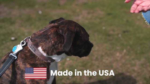 Calming Chews for Dogs - 60 Dog Calming Treats for Anxiety, Stress Relief Aid, Storms, Grooming, Fireworks, Separation… - Image 8