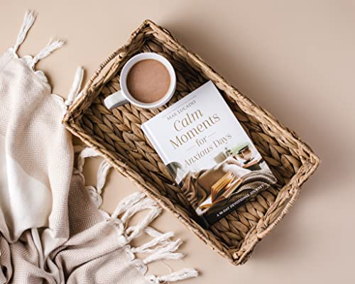 Image of Calm Moments for Anxious Days: A 90-Day Devotional Journey (90 Daily Devotions, with Journal Prompts, to Promote Wellness and Peace and Decrease Worry and Stress)