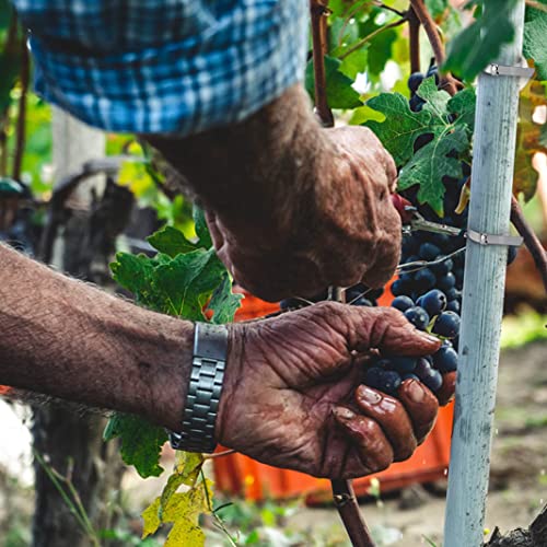 Azzuro 100Pcs 11.8 Inch Metal Cable Zip Ties Heavy Duty, Premium Stainless Steel Cable Zip Ties With 198Lbs Tensile Strength, Self-Locking Steel Exhaust Wrap Wire Ties For Indoor And Outdoor #TOP1