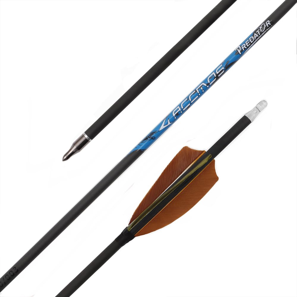 12 Stück Jagdpfeile ID 6,2 mm Spine 250 300 350 400 500 600 700 800 Mikrospiral-Feder Pfeil, für Recurvebogen Compoundbogen Bogenschießen