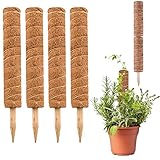 mossel bay accommodation KANN VERLÄNGERT WERDEN - Jeder Totempfahl für die Pflanzenunterstützung ist 15,7 Zoll hoch. Sie können die Totempfähle des Kokos miteinander verbinden, um die Höhe zu erhöhen. Die Länge wird also aufgrund des Pflanzenwachstums nicht unzureichend sein