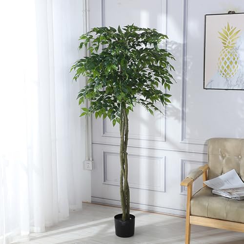 [LJKI] KW} A tFCNO[ ϗtA lH p {   ^ CeA Ƃ̒ɒu bȂ sv 150cm z[  Lb` ItBX KW} ϗt  K̖ A 