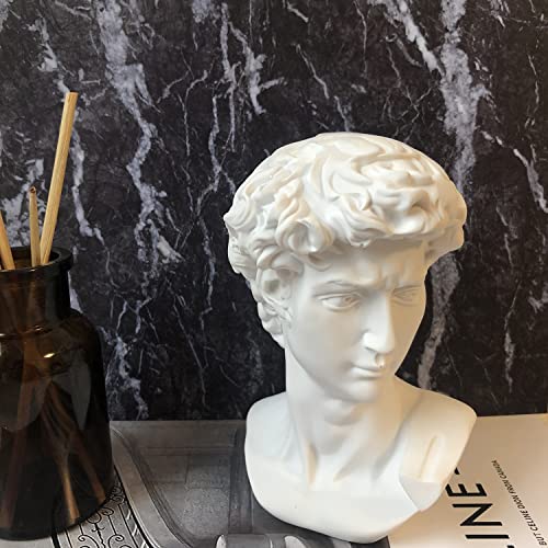 Ecacon Greek Statue Décor,6 Inch David Bust Statues,Roman Statue For Home Decor Resin Sculptures Home Decor Figurine For Shelf Decor Accents Room Decor (Classic White). #TOP4